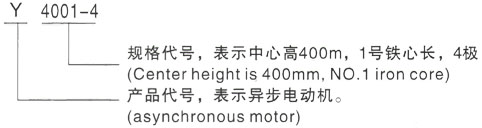 西安泰富西玛Y系列(H355-1000)高压蒲江三相异步电机型号说明