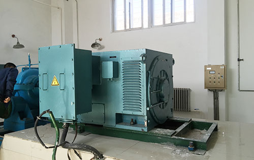 蒲江某水电站工程主水泵使用我公司高压电机